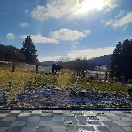 Haus Burg Holiday home *