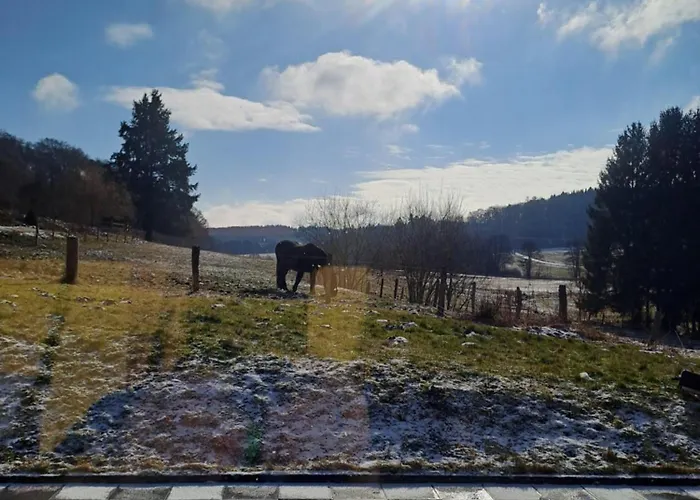 Haus Burg, Holiday home *